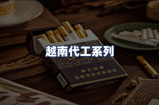 越南代工系列